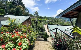 Rowinrich Cottages